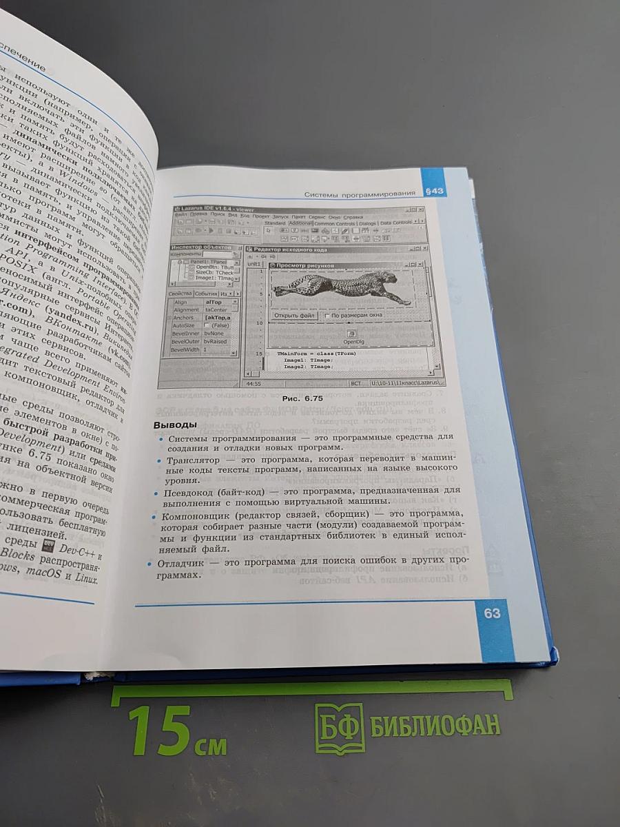 Информатика 10 класс (базовый и углублённый уровни) Часть 2