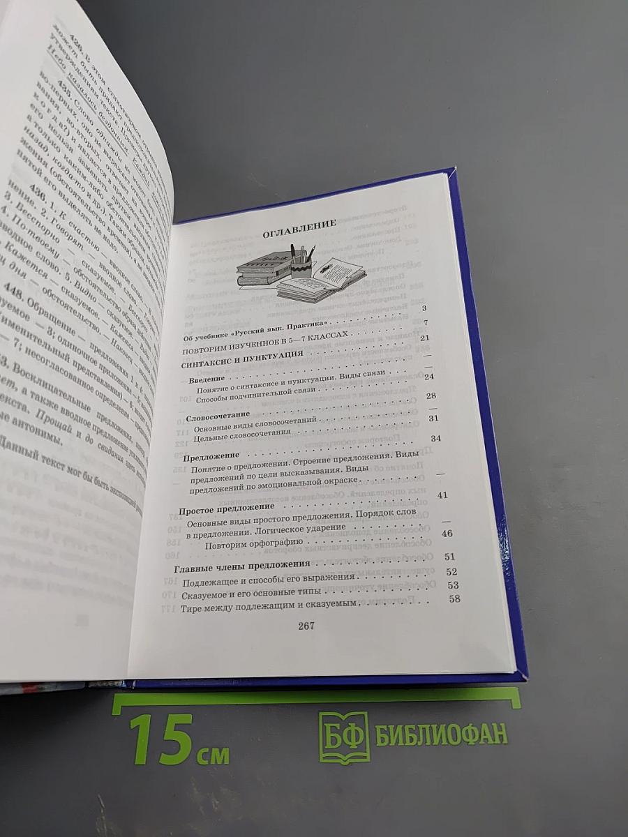 Русский язык. Практика. 8 класс