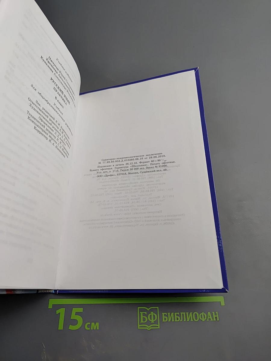 Русский язык. Практика. 8 класс