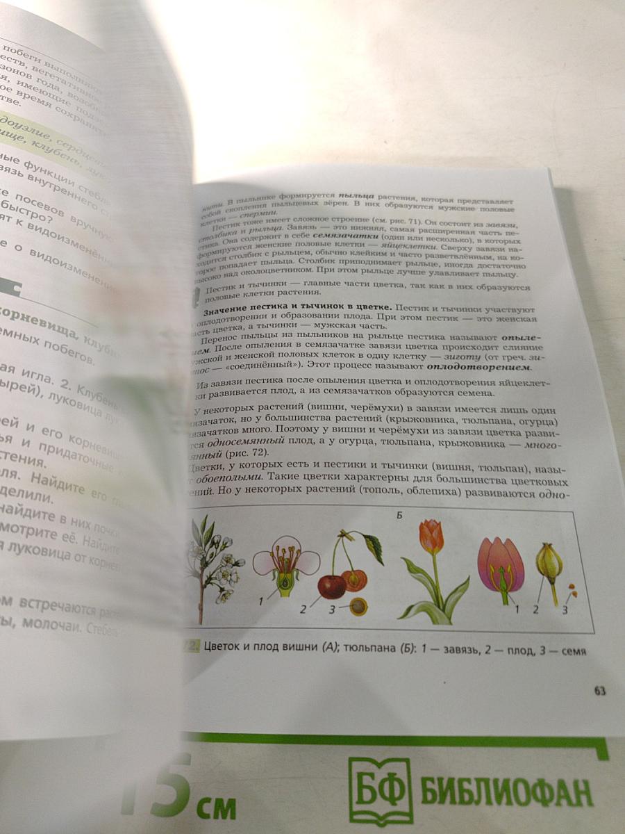 Биология 6 класс