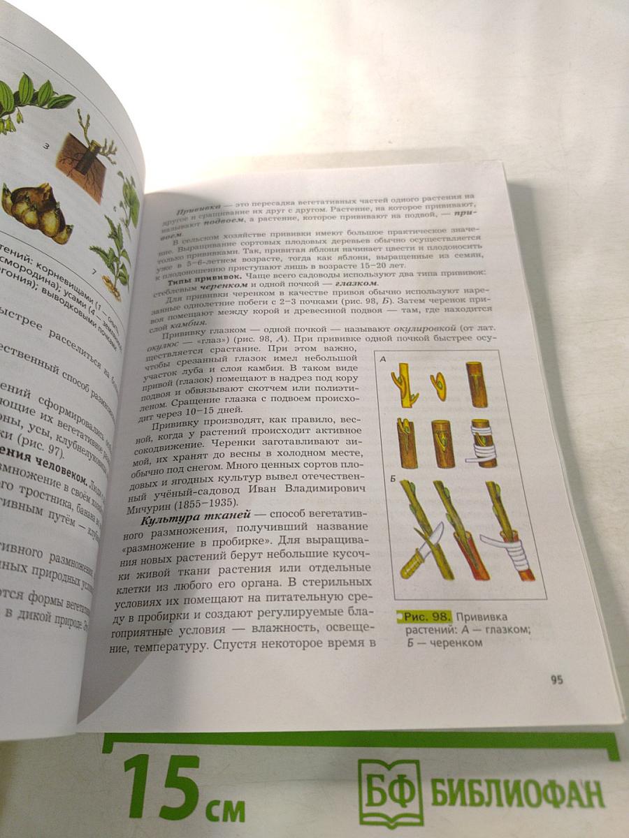 Биология 6 класс