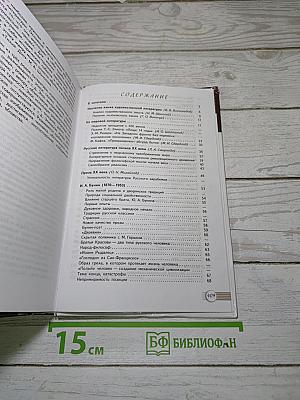 Русский язык и литература. Литература. 11 класс. Базовый уровень. Часть 1