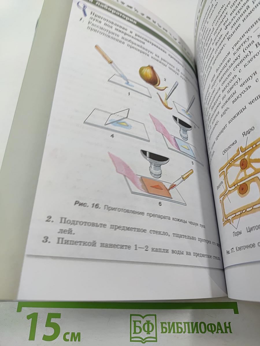 Биология 5-6 классы