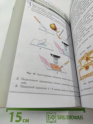 Биология 5-6 классы
