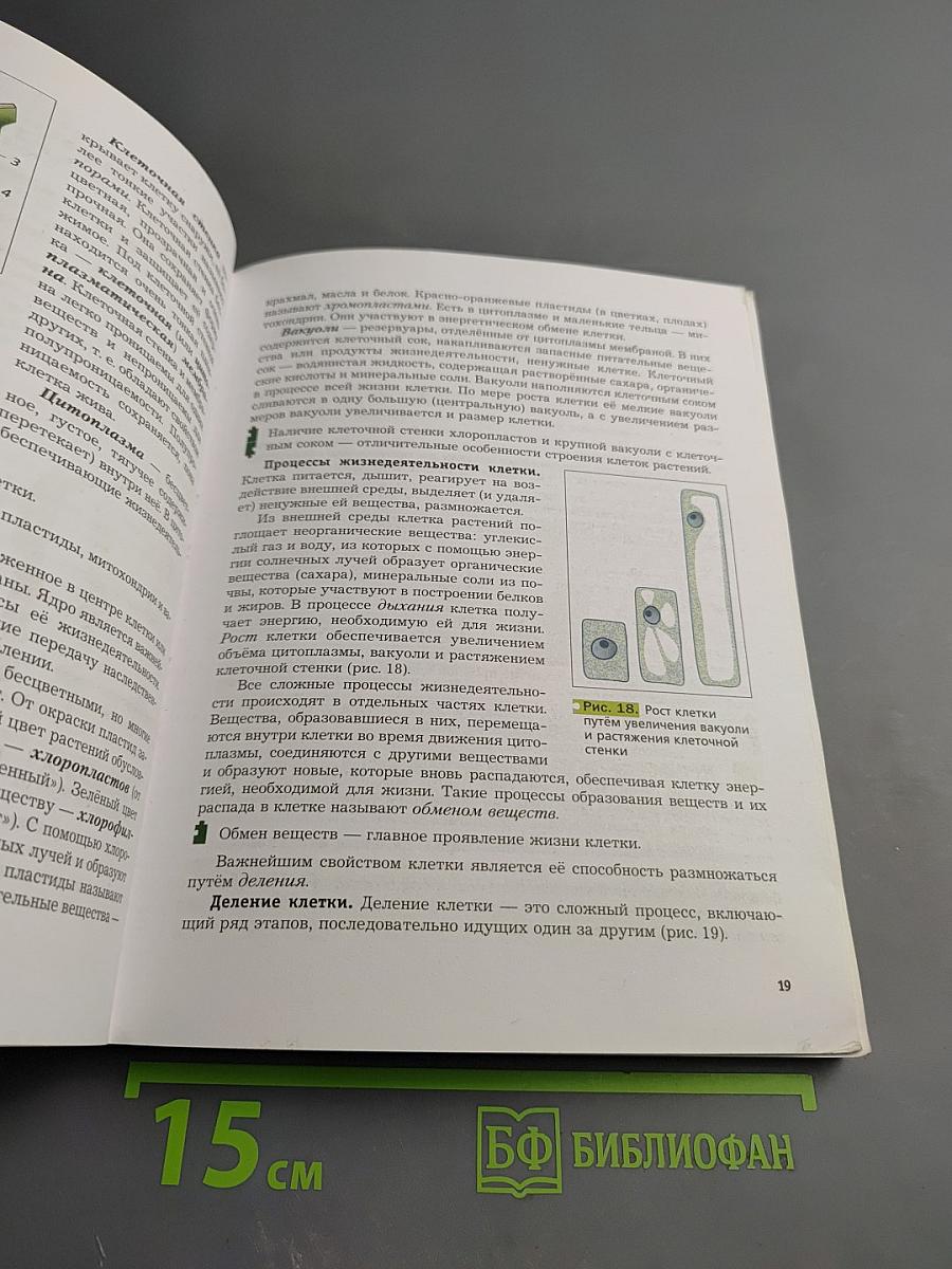 Биология 6 класс