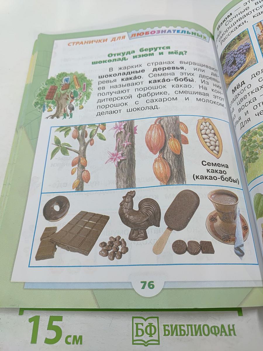 Окружающий мир 1 класс Часть 1