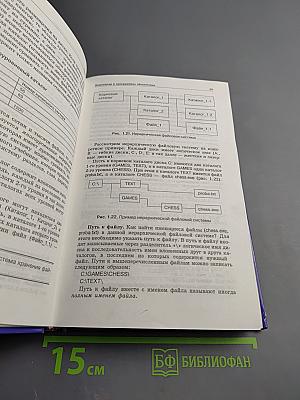 Информатика и информационные технологии 10-11 классы