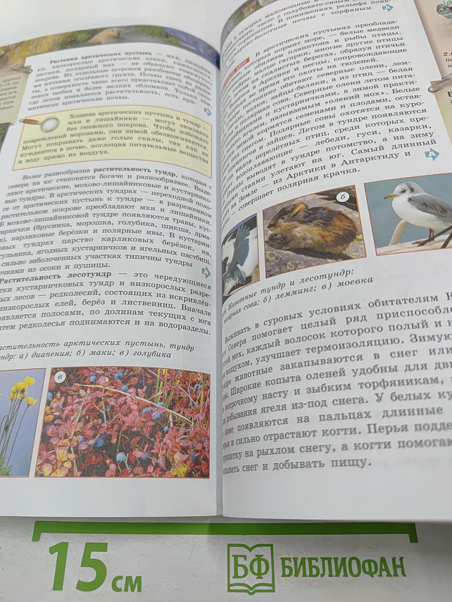 География Россия: природа население хозяйство 8 класс