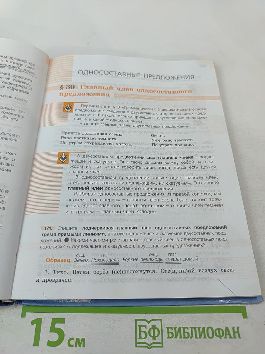 Русский язык 8 класс