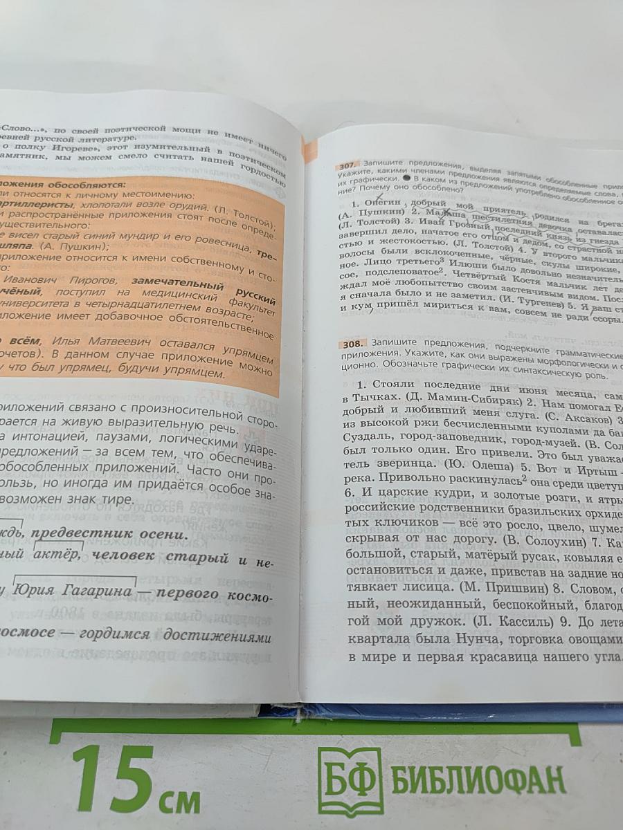 Русский язык 8 класс