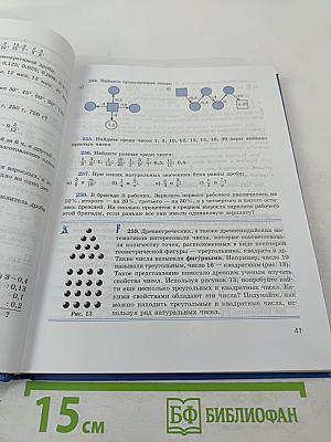 Математика 6 класс