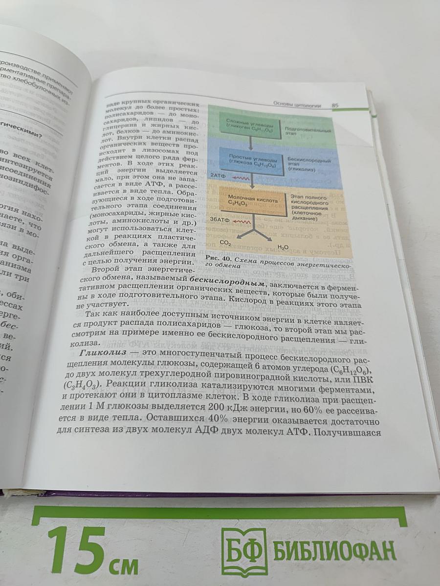 Биология. Общая биология. 10-11 классы