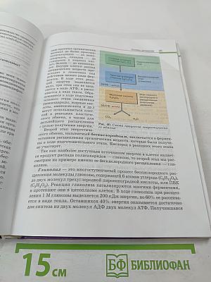 Биология. Общая биология. 10-11 классы