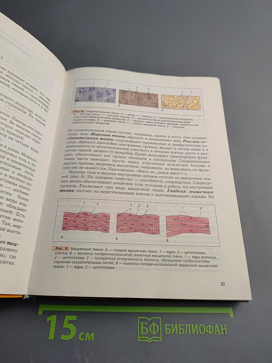 Биология 8 класс