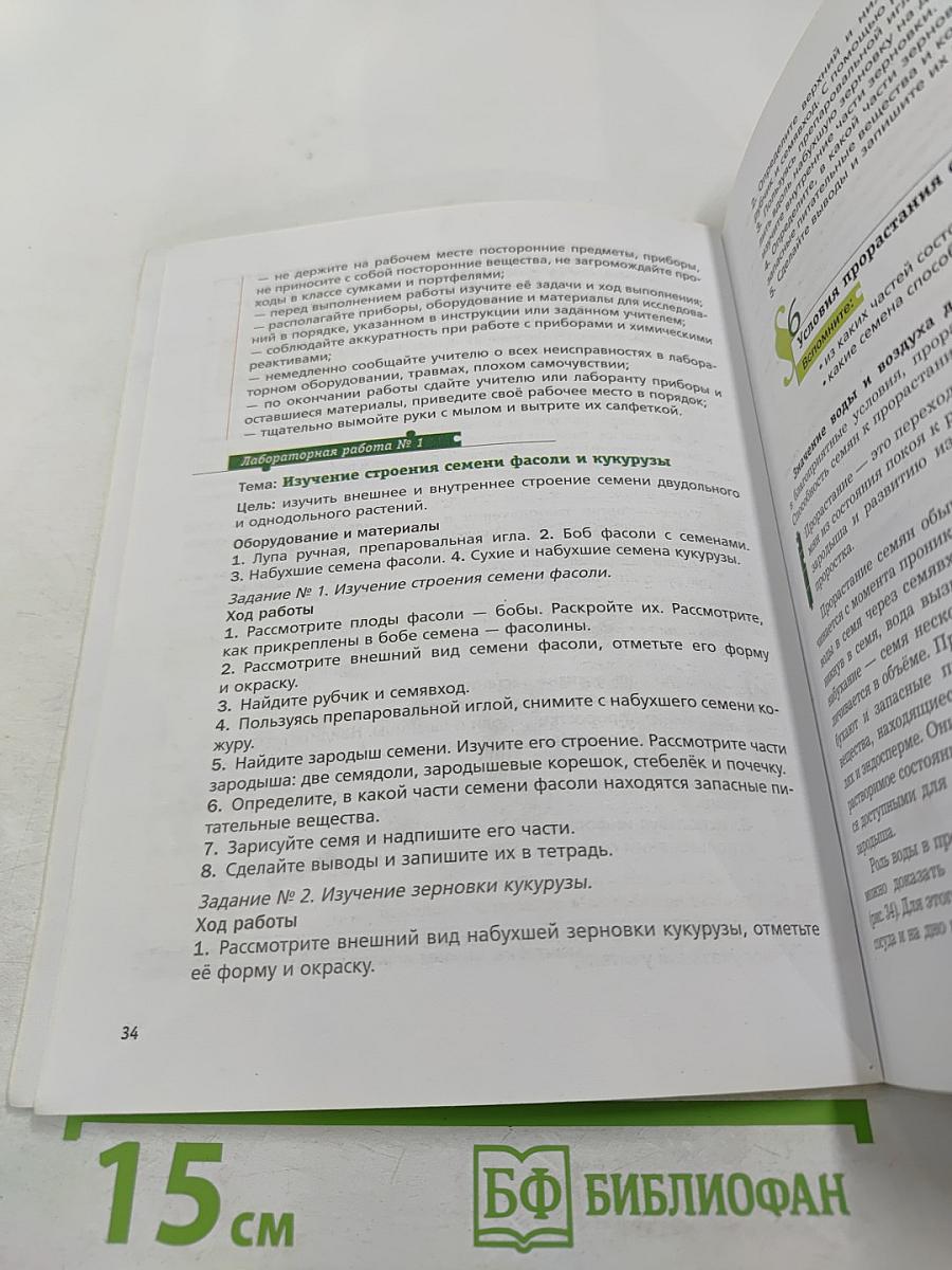 Биология 6 класс