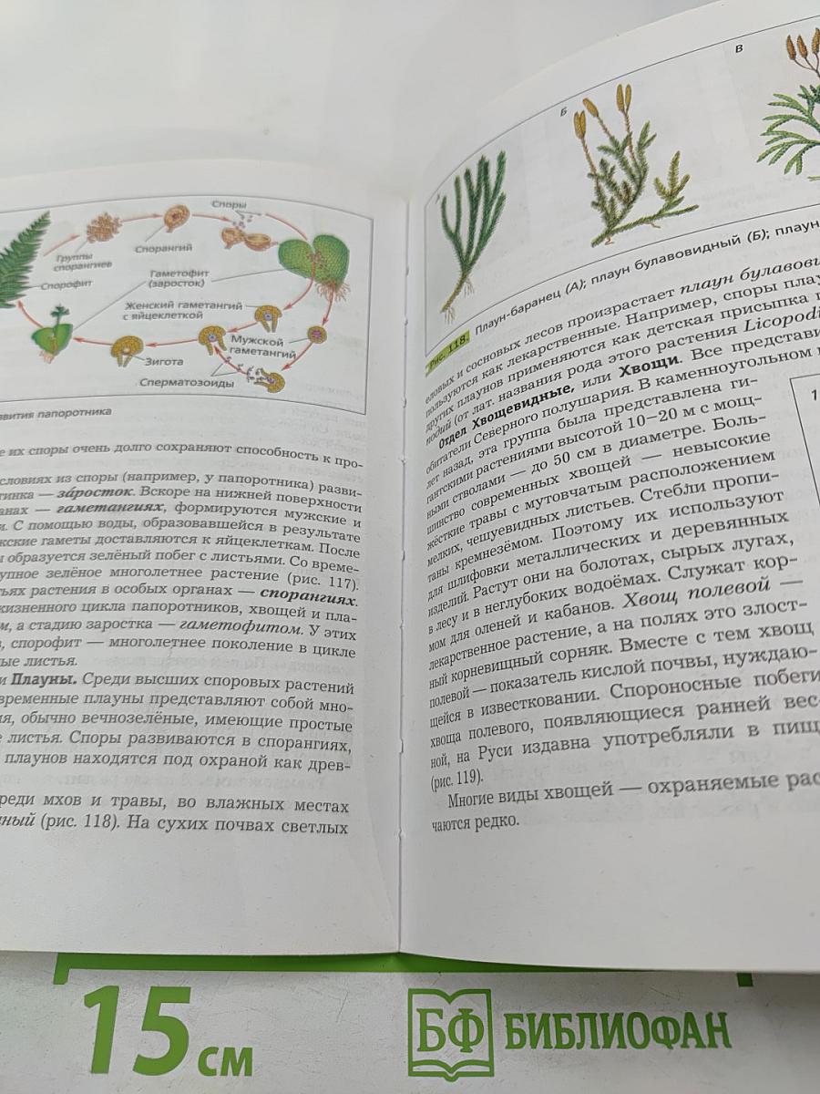 Биология 6 класс