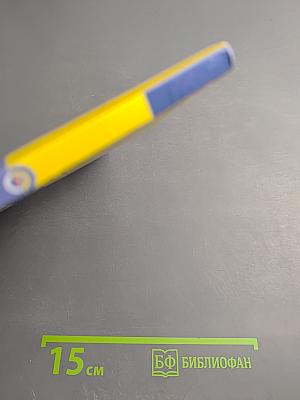 Обществознание. 11 класс. Учебник. Базовый уровень