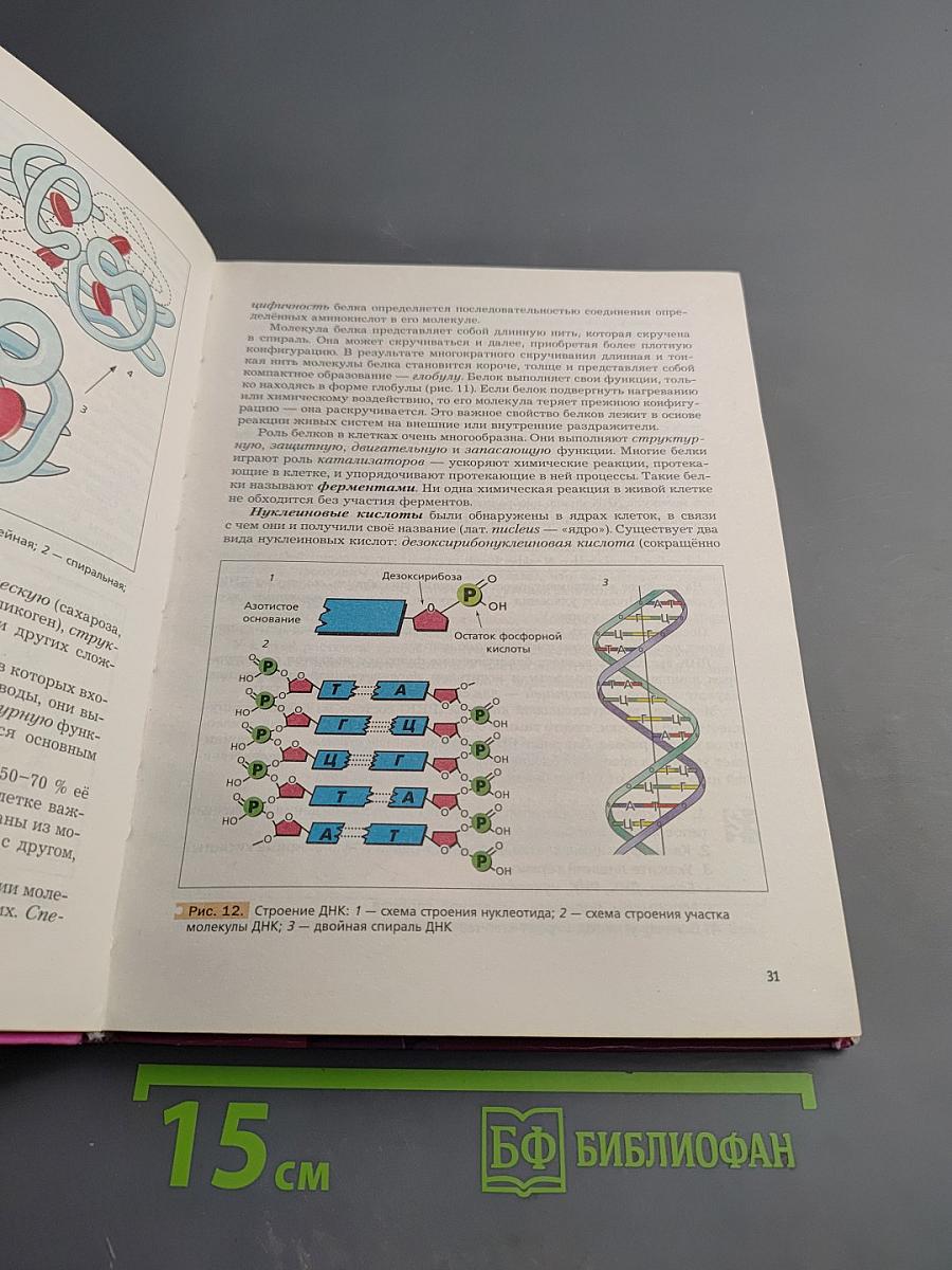 Биология 9 класс