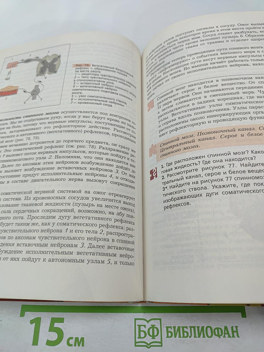 Биология 8 класс