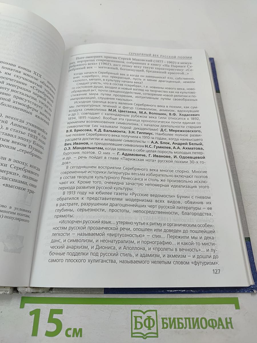 Литература. 11 класс. Часть 1