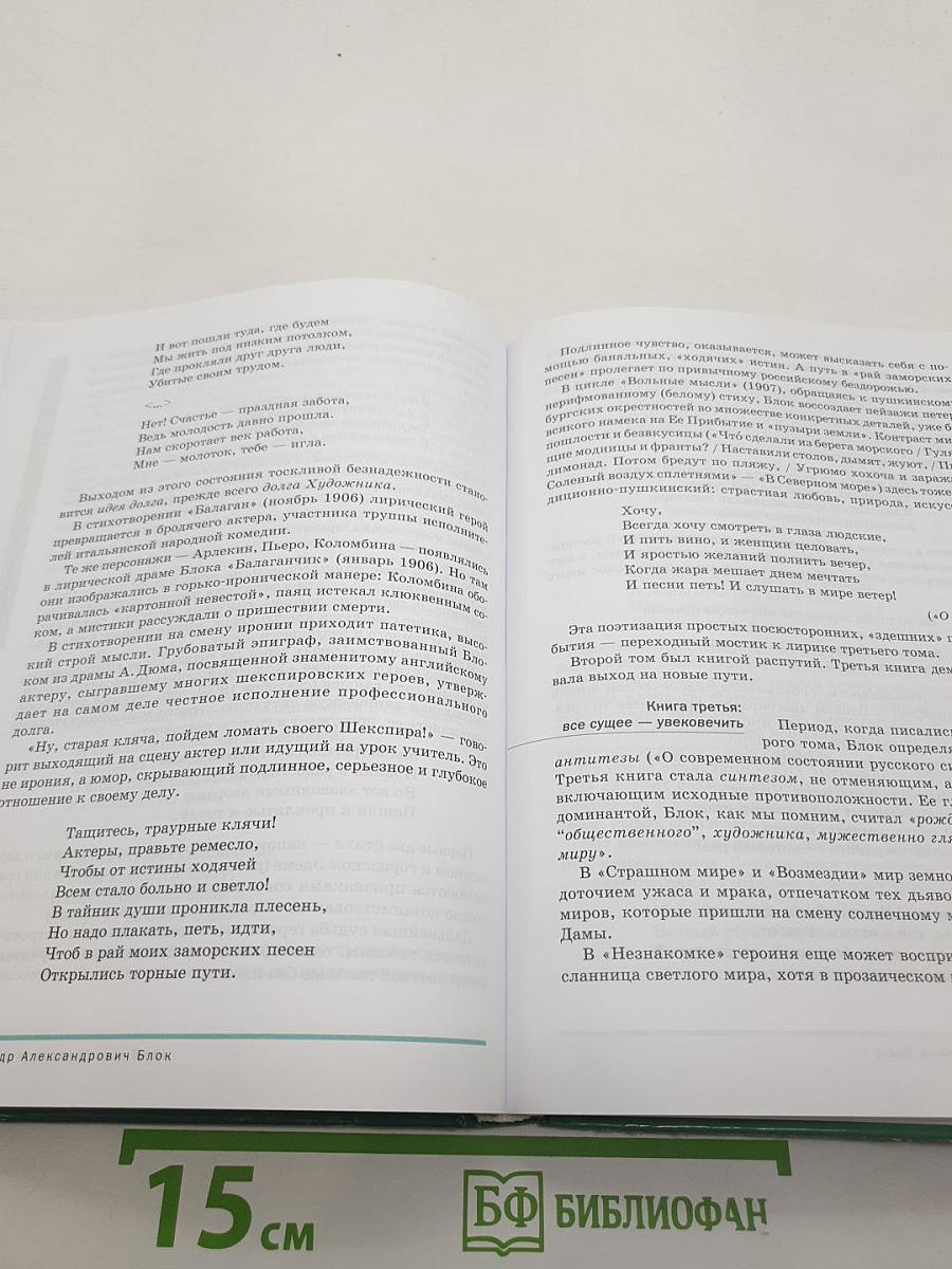 Литература (базовый уровень) Учебник для 11 класса. В двух частях. Часть 1