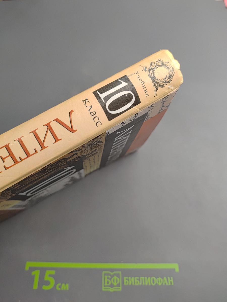 Литература 10 класс