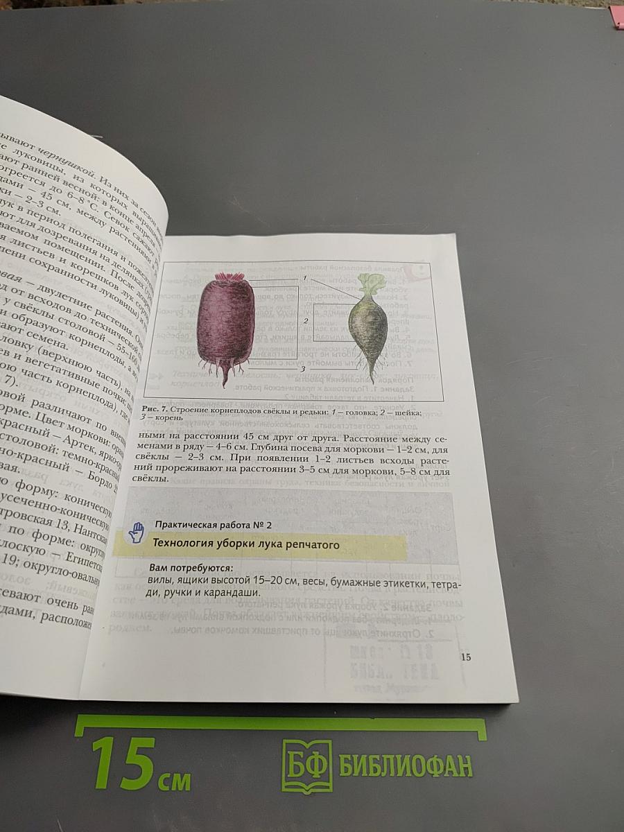 Технология для 5 класса