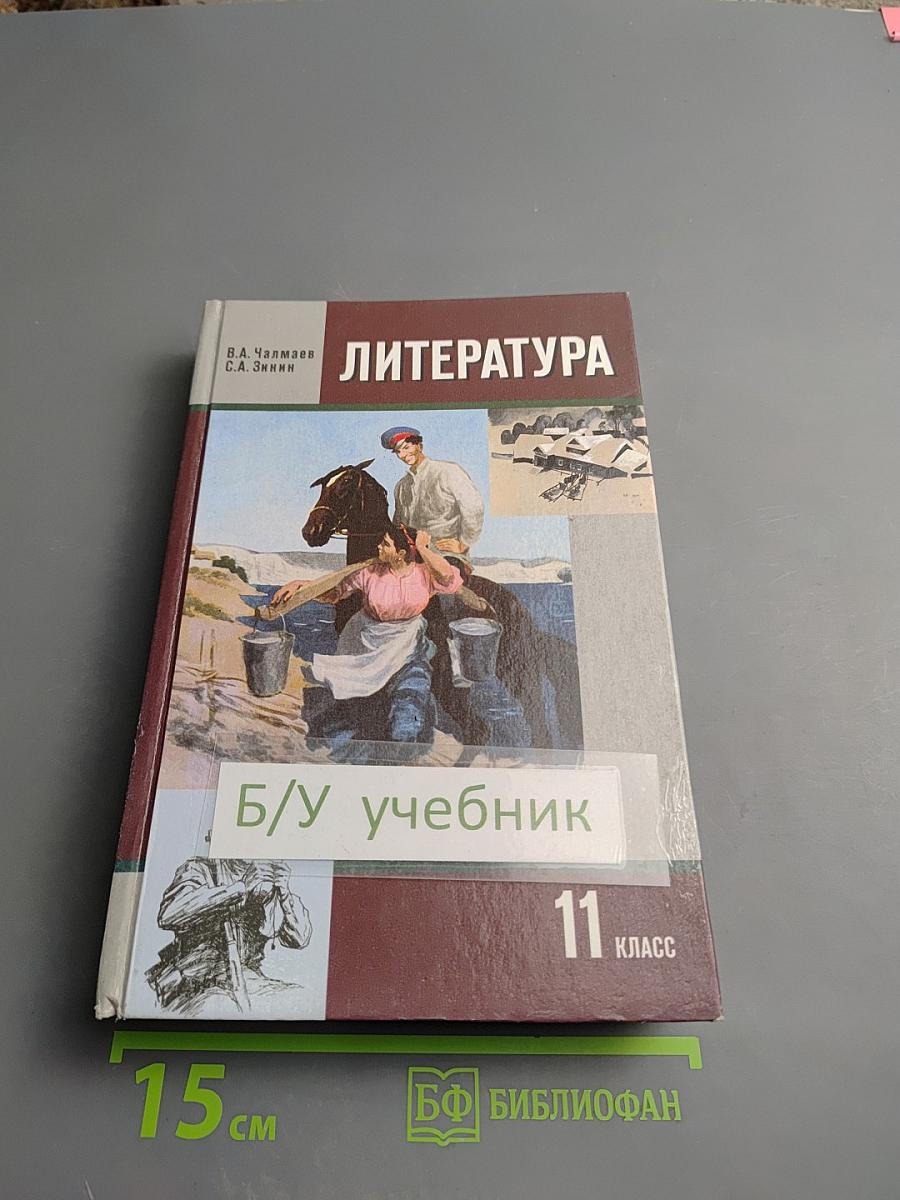 Литература 11 класс, Часть II