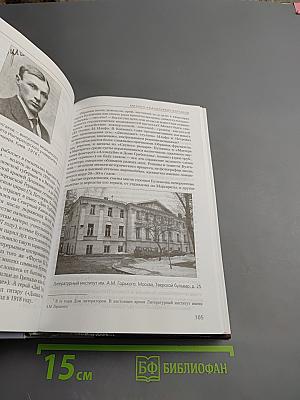 Литература 11 класс, Часть II