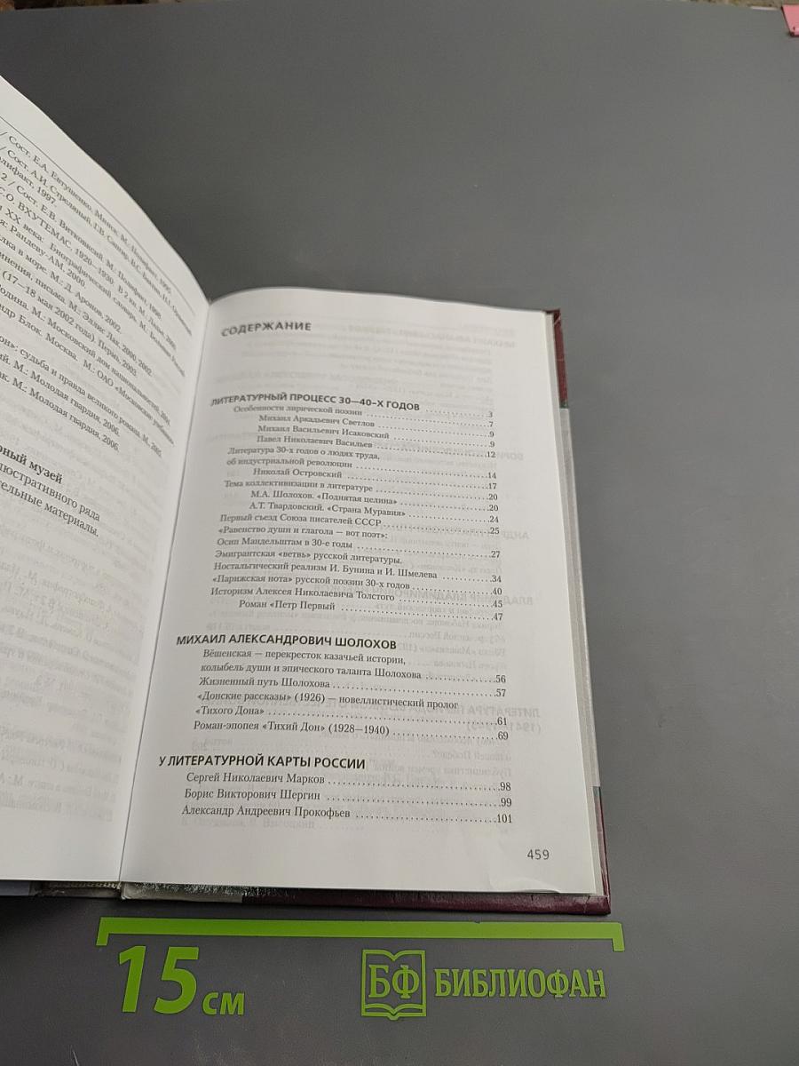 Литература 11 класс, Часть II