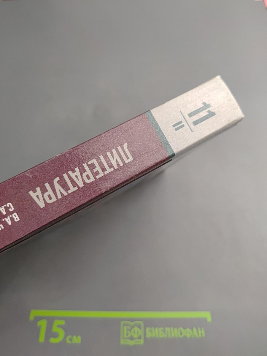 Литература 11 класс, Часть II