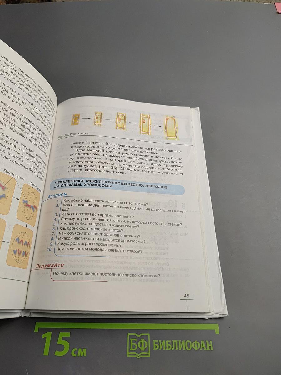 Биология. Бактерии, грибы, растения. 5 класс
