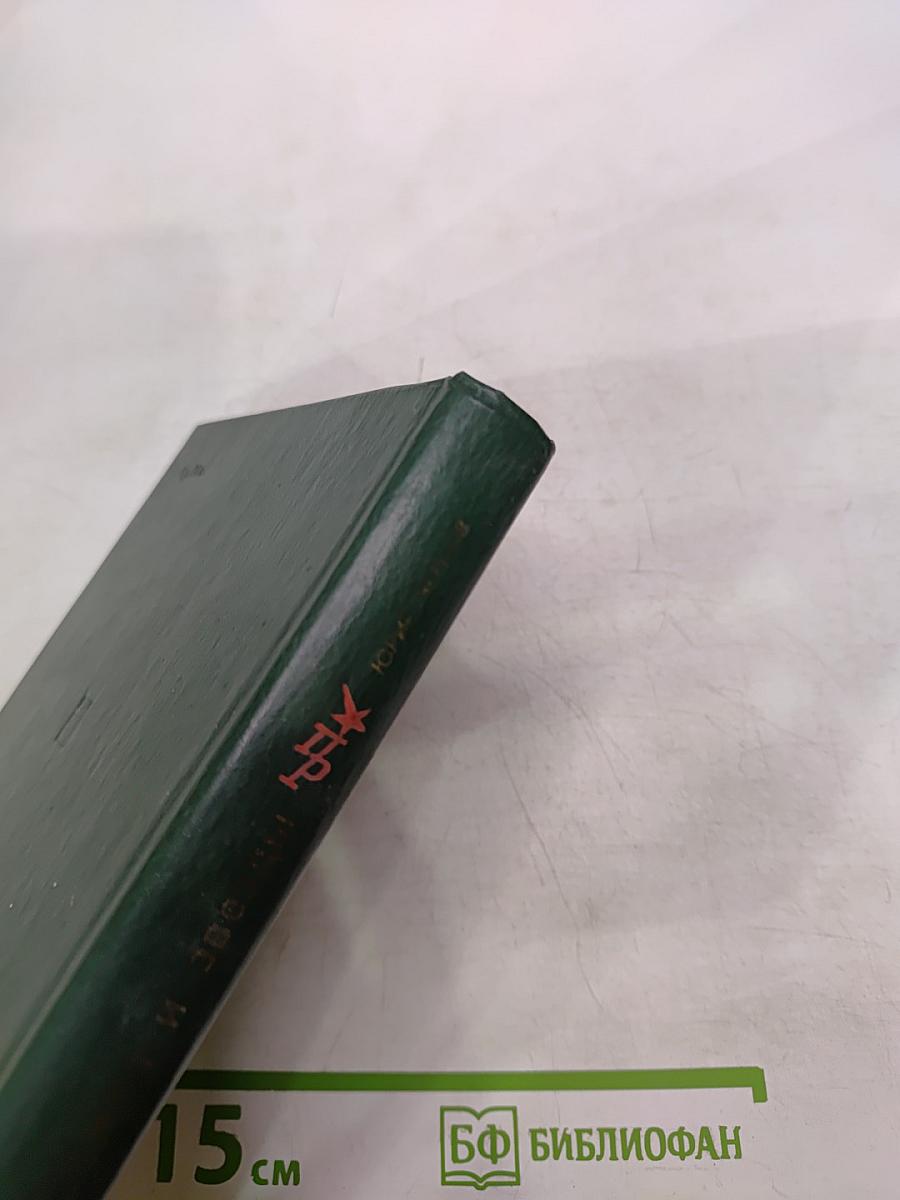 Земля и звезды