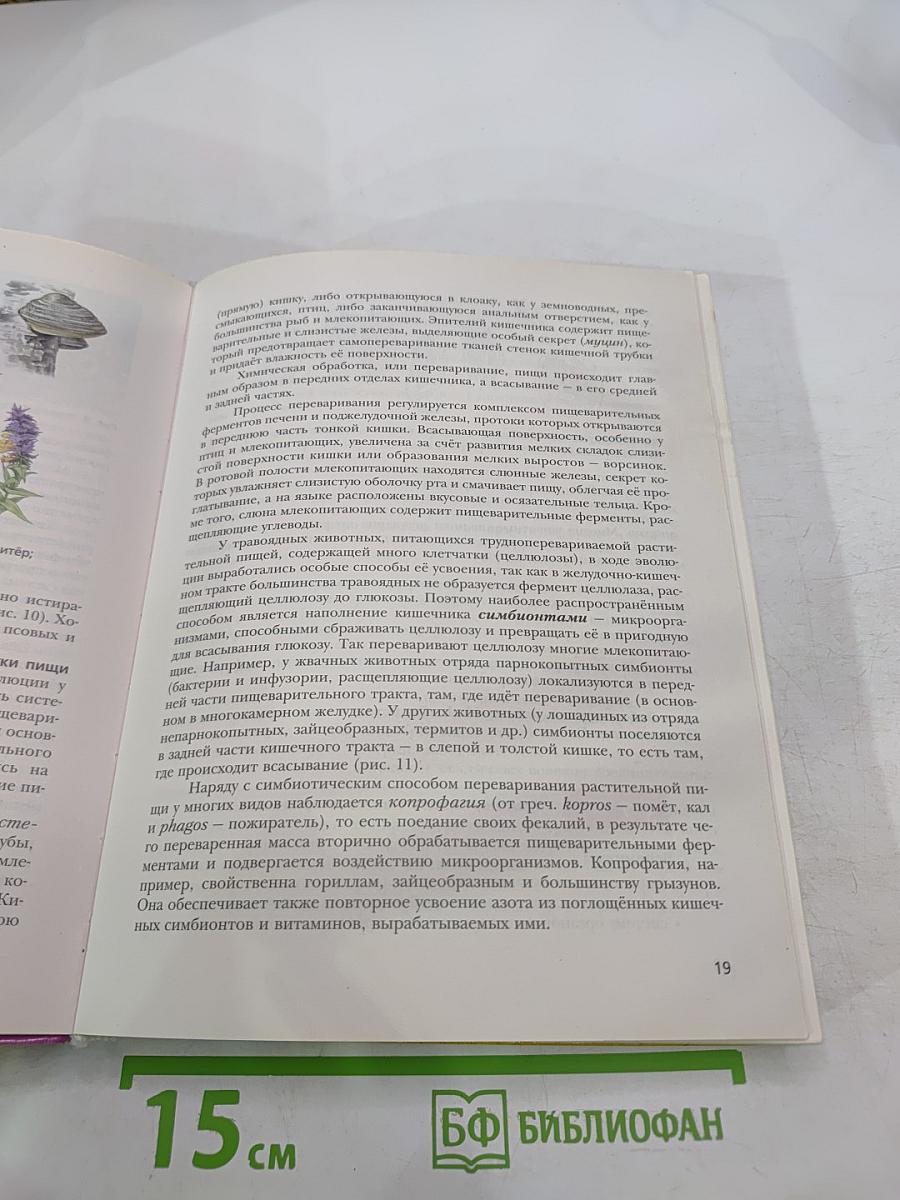 Биология 11 класс углубленный уровень