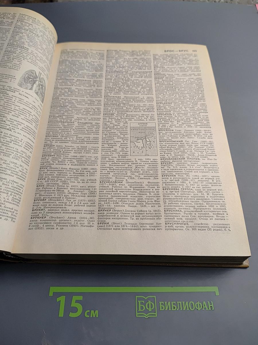 Большой энциклопедический словарь. Том 1