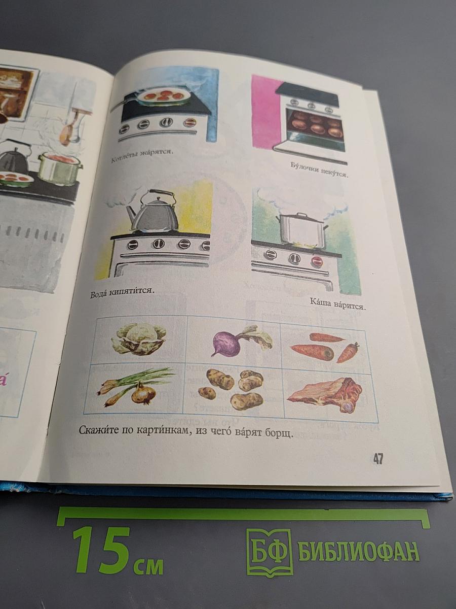 Русский язык в картинках. Часть 2