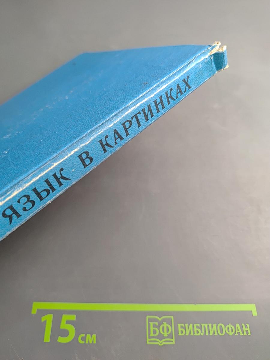 Русский язык в картинках. Часть 2