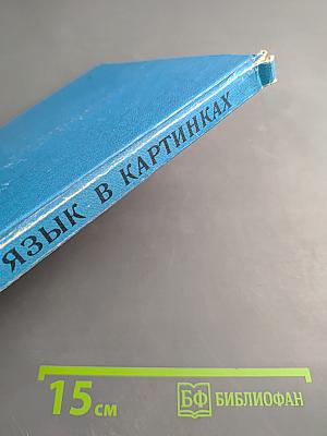 Русский язык в картинках. Часть 2
