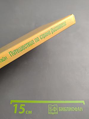 Путешествие по стране Руставели