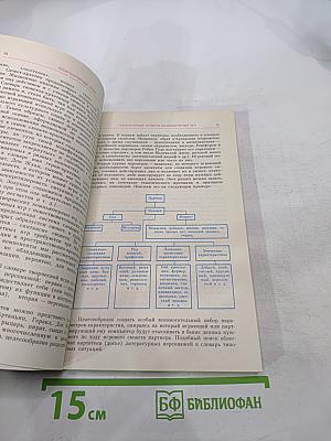 Компьютерные игры