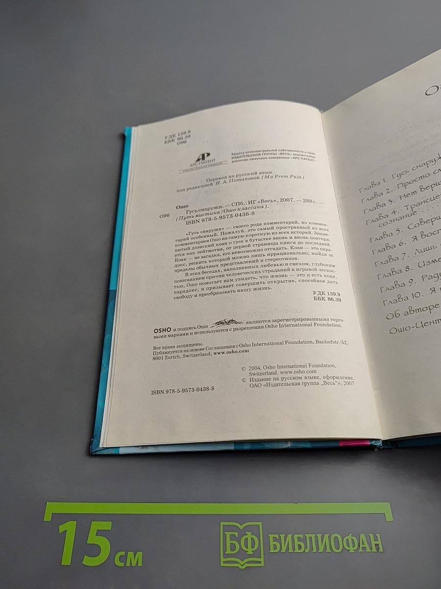 Гусь снаружи