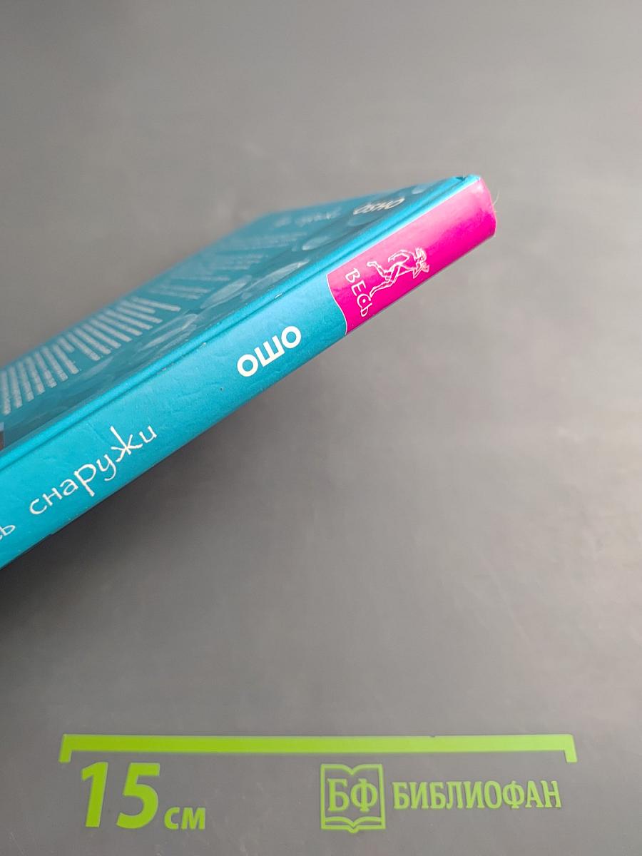 Гусь снаружи