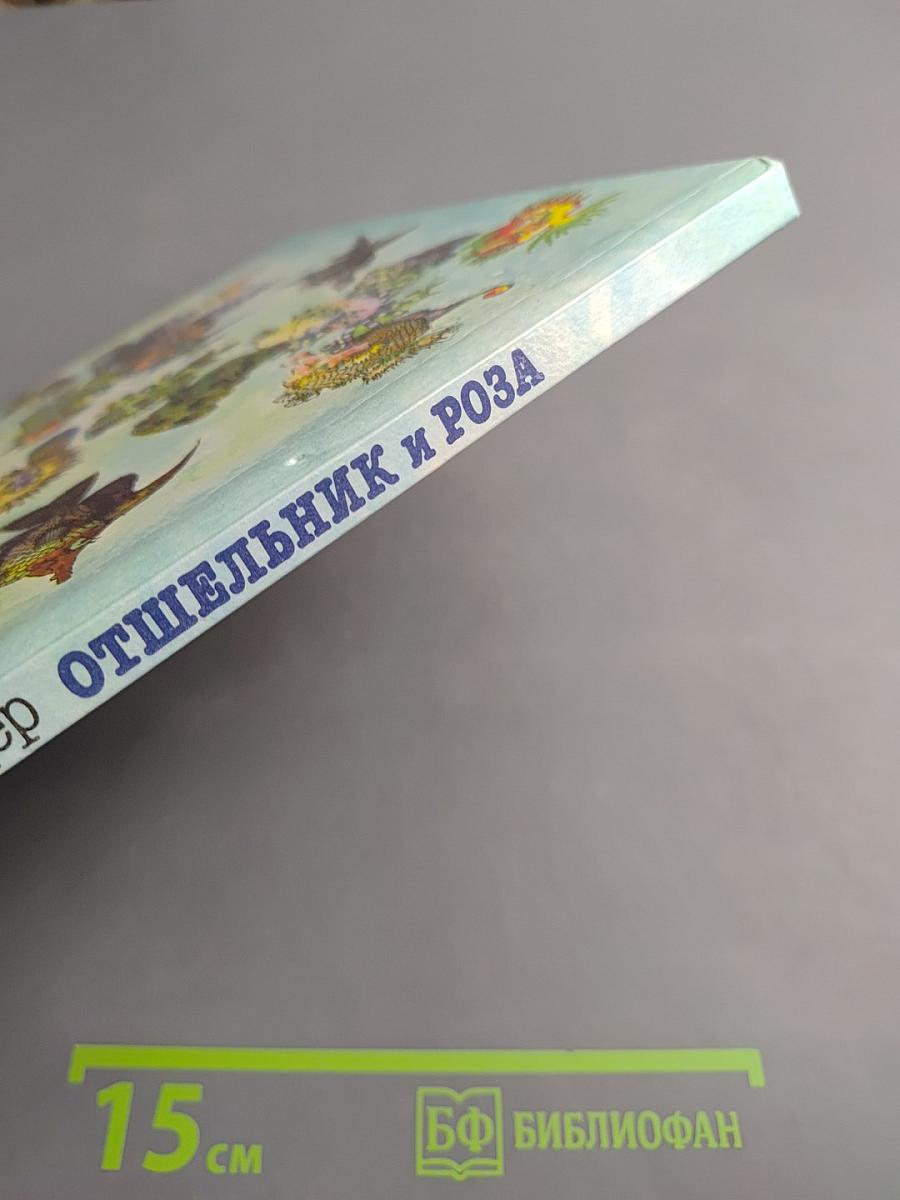 Отшельник и Роза