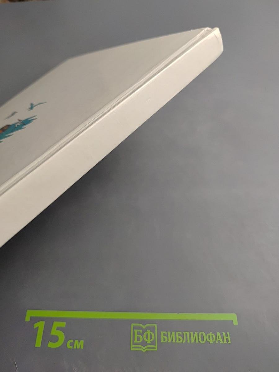 Солнышкин плывет в Антарктиду