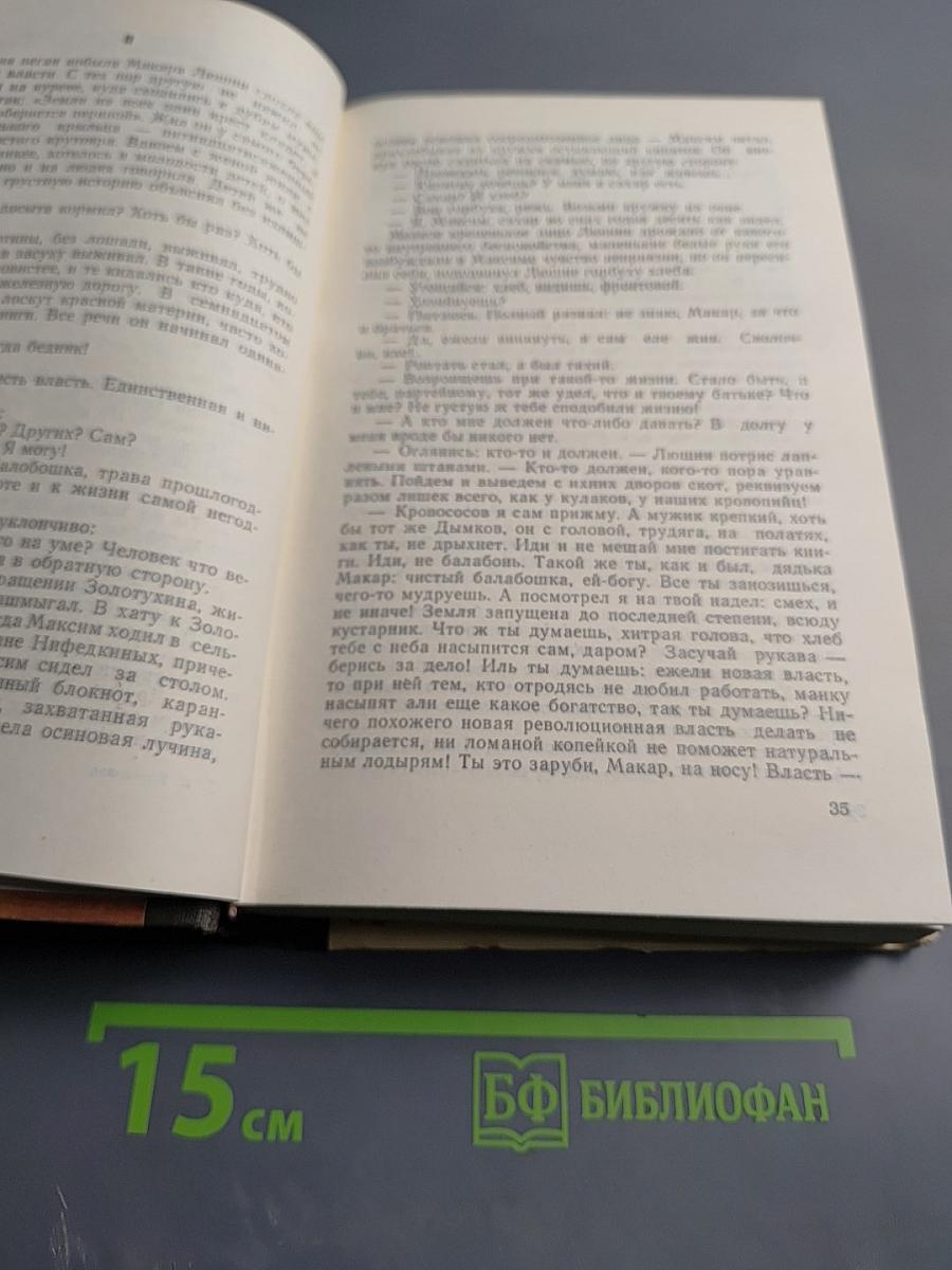 Бессмертник