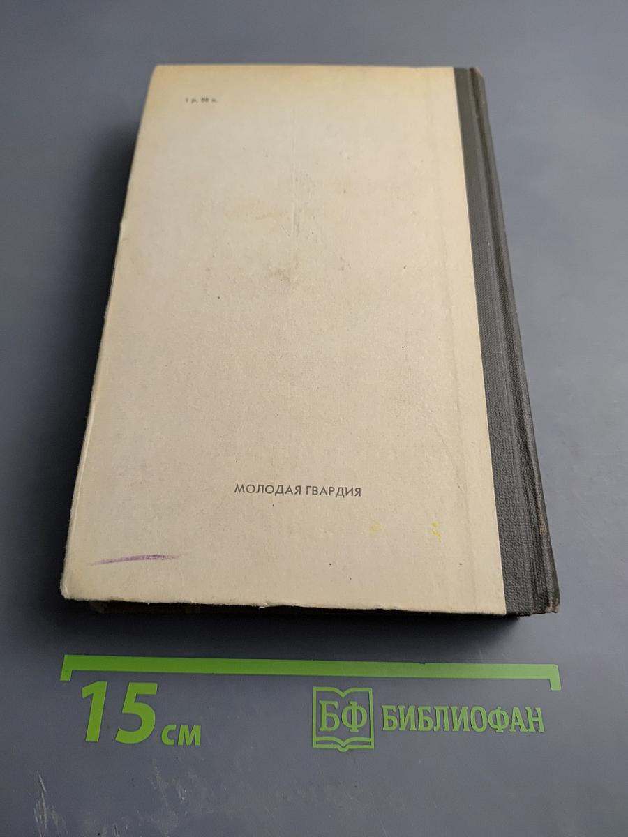 Бессмертник