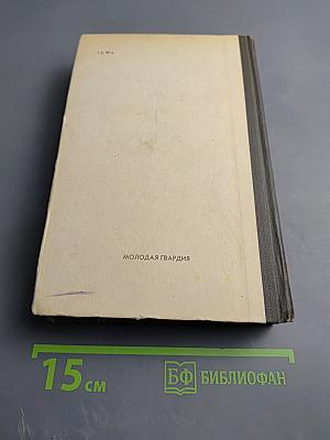 Бессмертник