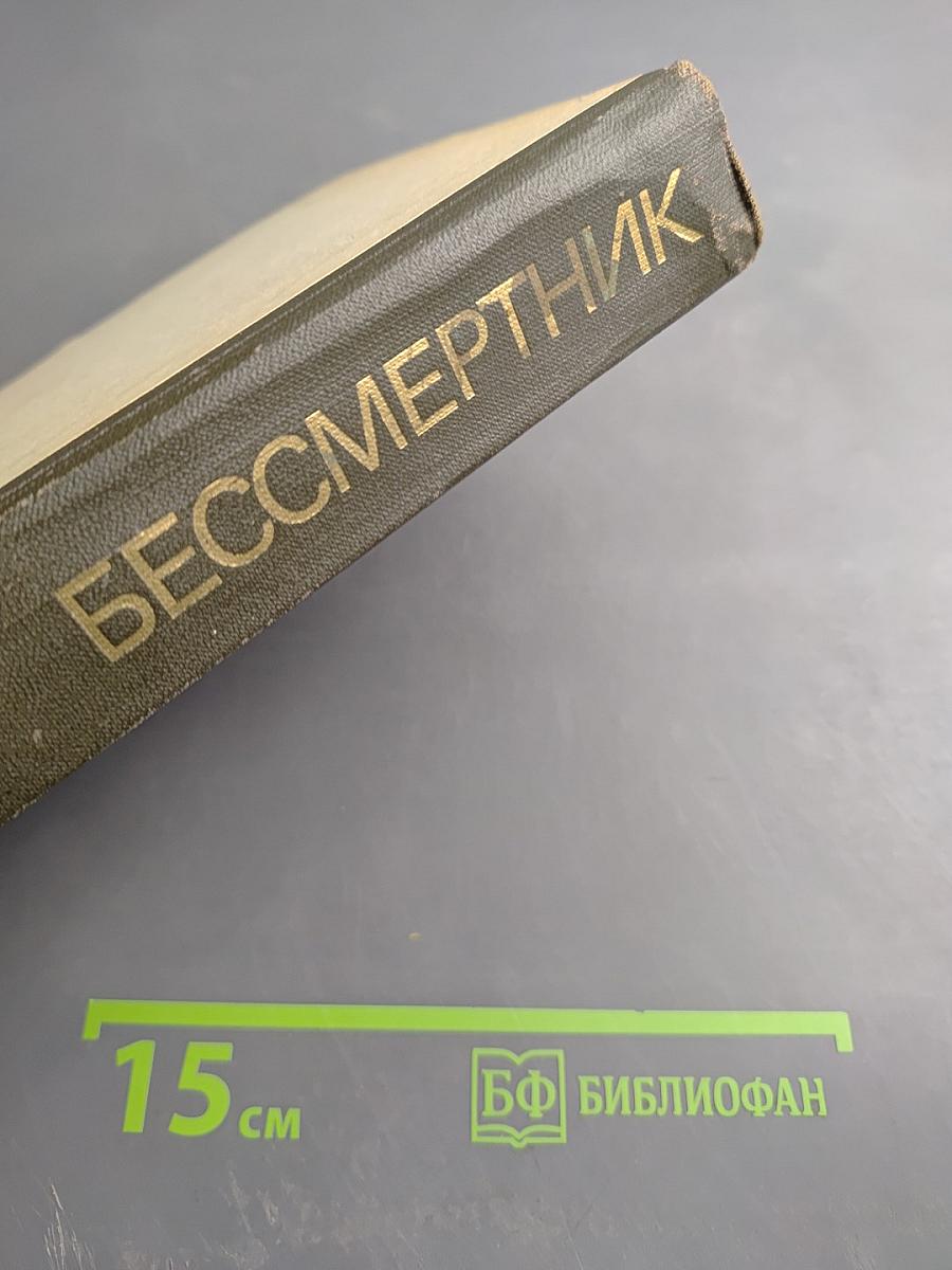 Бессмертник