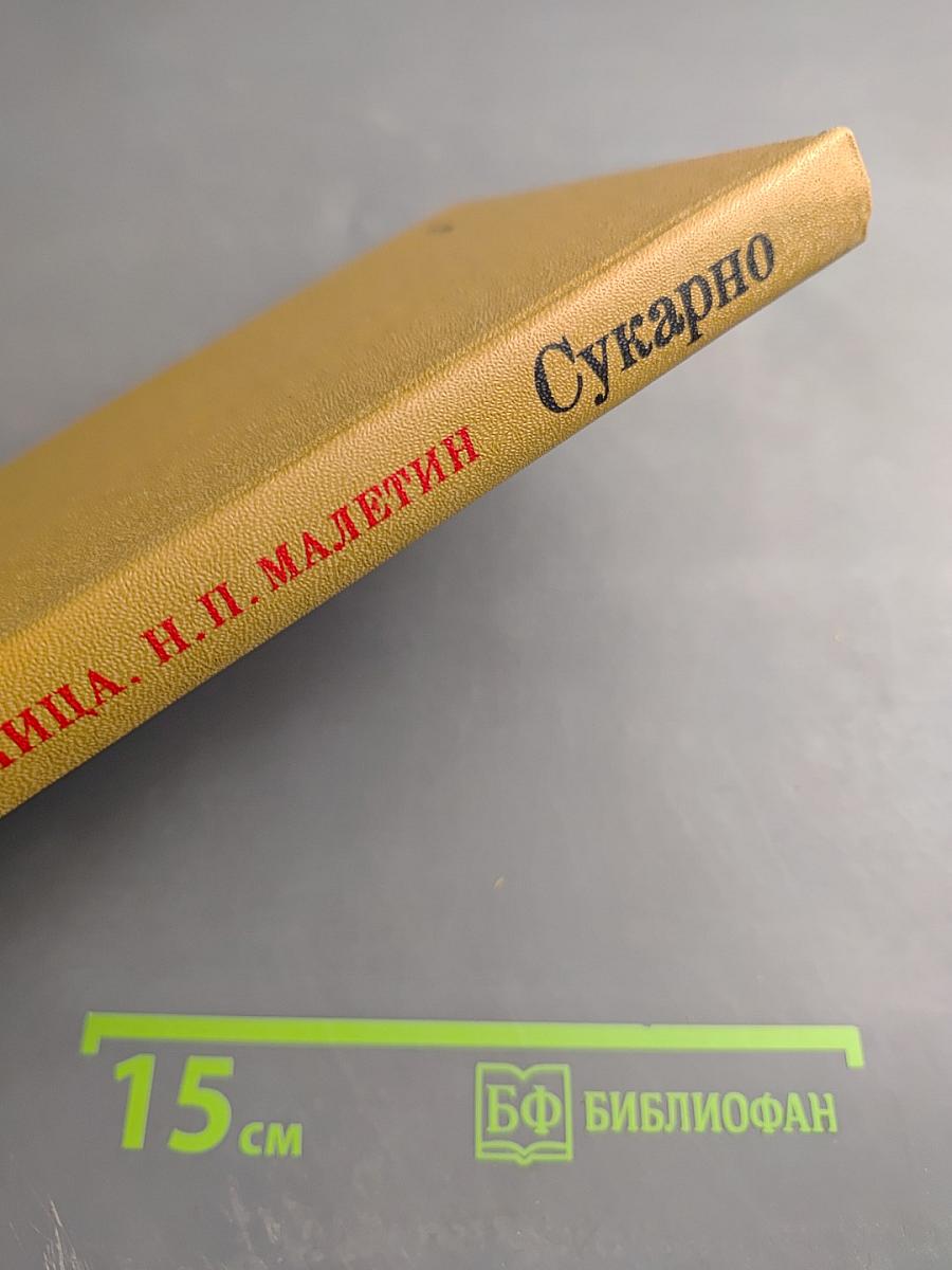 Сукарно. Политическая биография