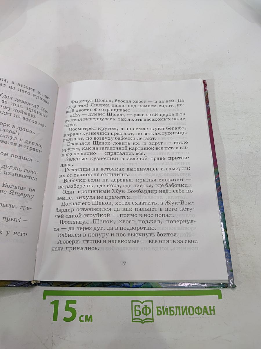 Лесные домишки